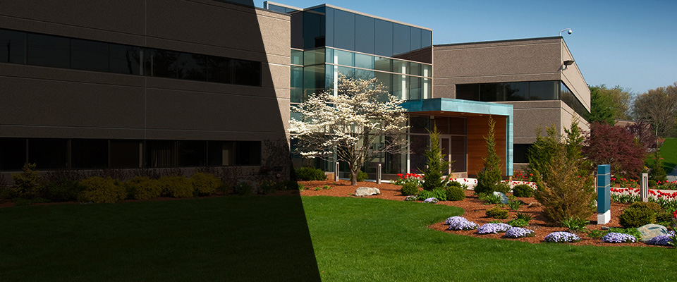 Williamstown Landscapers